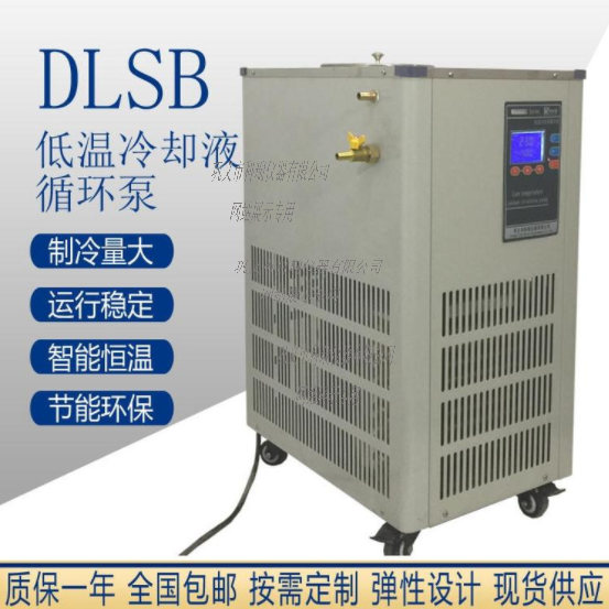 DLSB-100L低溫冷卻液循環泵